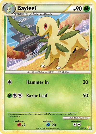 HS: Bayleef